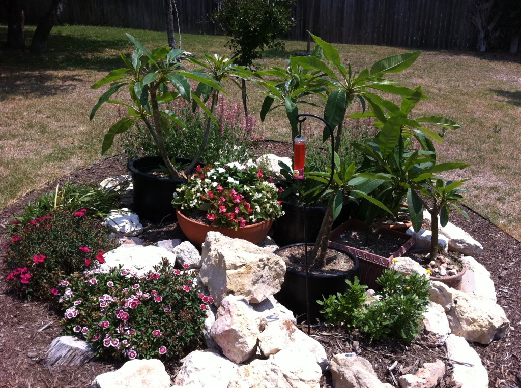 2011/05(May)/My Brain Injury Recovery/1024x768_2011-05-24-Janeen's TBI-40.jpg
